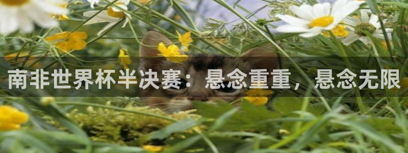 世界杯足球赛2026赛程时间：南非世界杯半决赛：悬念重重，悬念无限