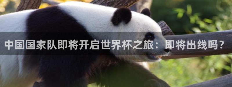 英格兰联赛杯直播：中国国家队即将开启世界杯之旅：即将出线吗？