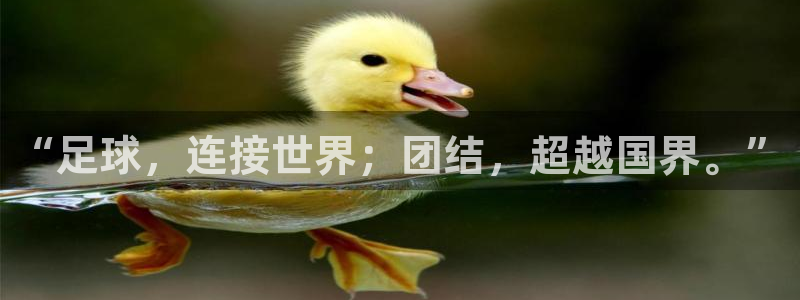 世界杯小组赛赛程：“足球，连接世界；团结，超越国界。”