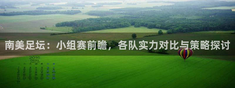 欧洲区世界杯预选赛：南美足坛：小组赛前瞻，各队实力对比与策略探讨