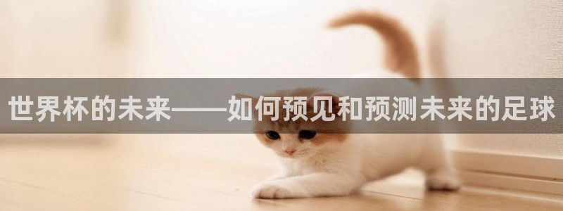 世界杯系列赛：世界杯的未来——如何预见和预测未来的足球