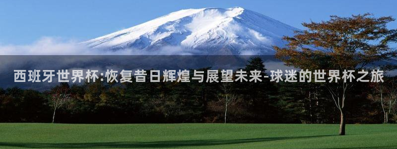欧洲世界杯预选赛赛程：西班牙世界杯:恢复昔日辉煌与展望未来-球迷的世界杯之旅