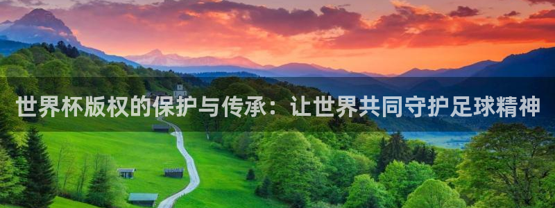 世界杯直播在线观看入口：世界杯版权的保护与传承：让世界共同守护足球精神