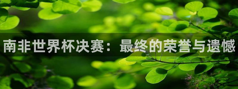 世界杯欧洲区预选赛赛程：南非世界杯决赛：最终的荣誉与遗憾