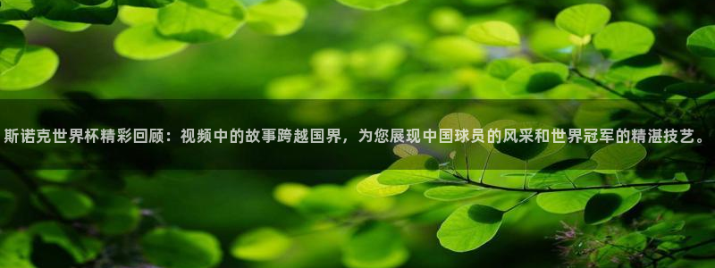 2026年男足世界杯：斯诺克世界杯精彩回顾：视频中的故事跨越国界，为您展现中国球员的风采和世界冠军的精湛技艺。