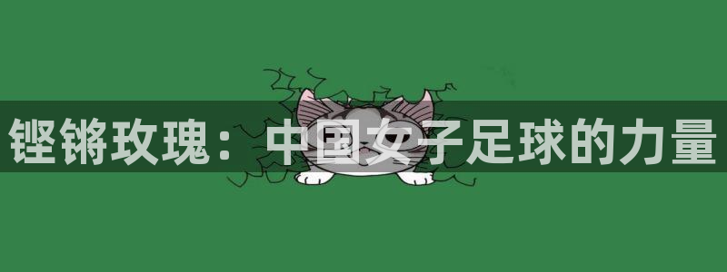 世预赛欧洲赛程表：铿锵玫瑰：中国女子足球的力量