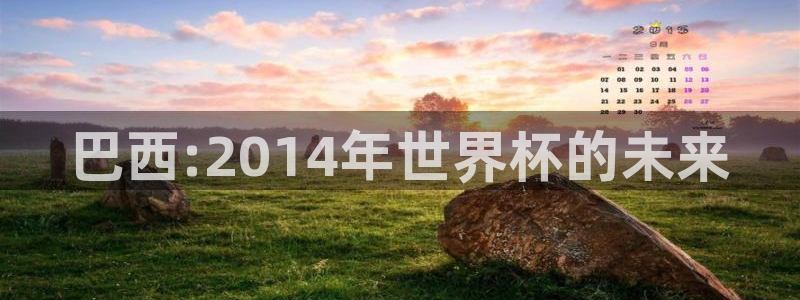 世界杯直播：巴西:2014年世界杯的未来