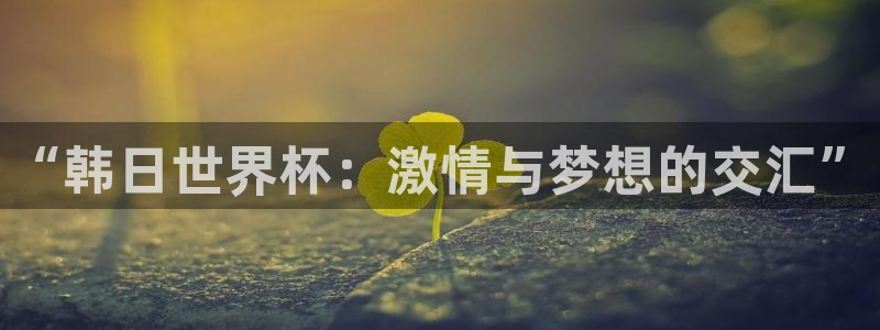 2026年世界杯赛程：“韩日世界杯：激情与梦想的交汇”