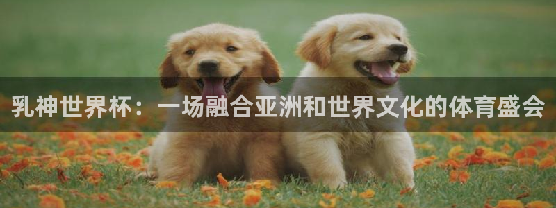 世界杯 中国：乳神世界杯：一场融合亚洲和世界文化的体育盛会