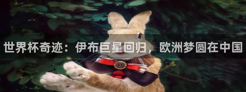 2026世界杯买球：世界杯奇迹：伊布巨星回归，欧洲梦圆在中国